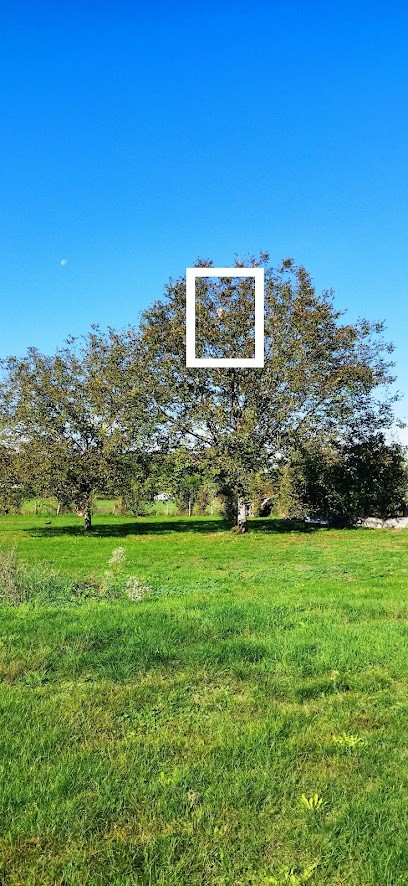 Savoie-guèpes- Frelons-chenilles-destruction-probleme-nids, Désinsectiseur et Dératiseur à La Balme