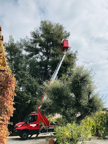 A Votre Service 83, Désinsectiseur et Dératiseur à Sainte-Maxime