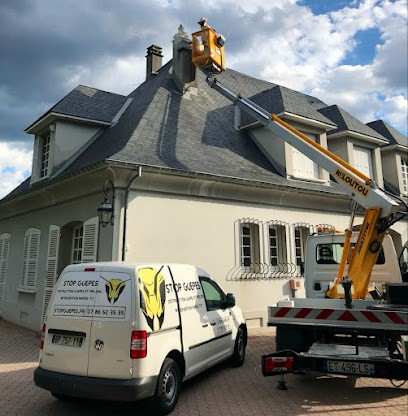 Stop Guêpes Nord Isère, Désinsectiseur et Dératiseur à Villefontaine