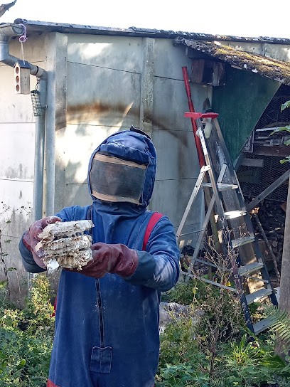 SOS GUÊPES 90, Désinsectiseur et Dératiseur à Denney