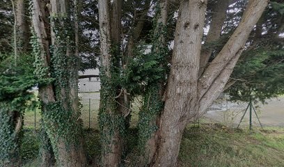 APA Lamballe, Désinsectiseur et Dératiseur à Lamballe