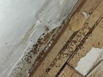 NGAN HAUTE ALPES, Désinsectiseur et Dératiseur à Gap