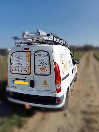 Le Rucher Paulino Destruction nids de guêpes et frelons, Désinsectiseur et Dératiseur à Bicqueley