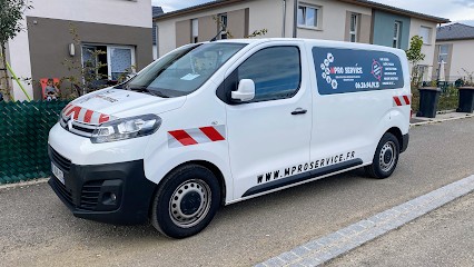 M Pro Service : Dératisation, Désinsectisation, Dépigeonnage Et Désinfection, Désinsectiseur et Dératiseur à Wittenheim