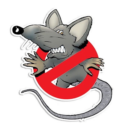 Hygiène Experts, Désinsectiseur et Dératiseur à Barjac