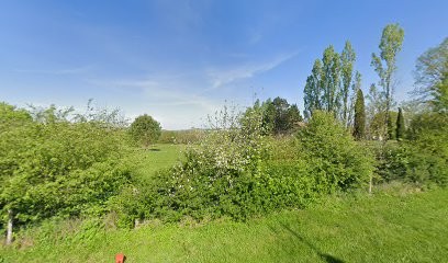 Intervention Anti-nuisibles (IAN), Désinsectiseur et Dératiseur à Lamothe-Goas