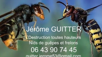 GUITTER Jérôme - Destruction nids de guêpes et frelons - Département de la Mayenne 53, Désinsectiseur et Dératiseur à Villiers-Charlemagne