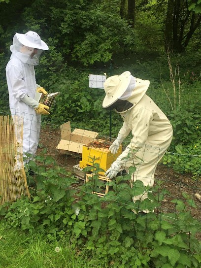 Stop Guêpes 76, Désinsectiseur et Dératiseur à Fécamp