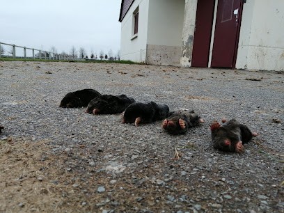 LANSEV 76, Désinsectiseur et Dératiseur à Louvetot