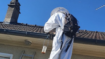 Destruction De Nuisibles BEAUDOUIN Franck, Désinsectiseur et Dératiseur à La Chapelle-du-Noyer