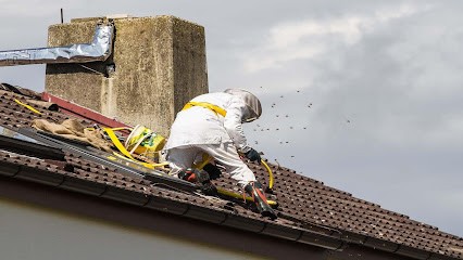 LM Nuisibles, Désinsectiseur et Dératiseur à Terssac