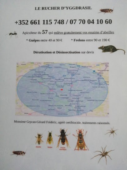 Le rucher d'yggdrasil contre les nuisibles, Désinsectiseur et Dératiseur à Rochonvillers
