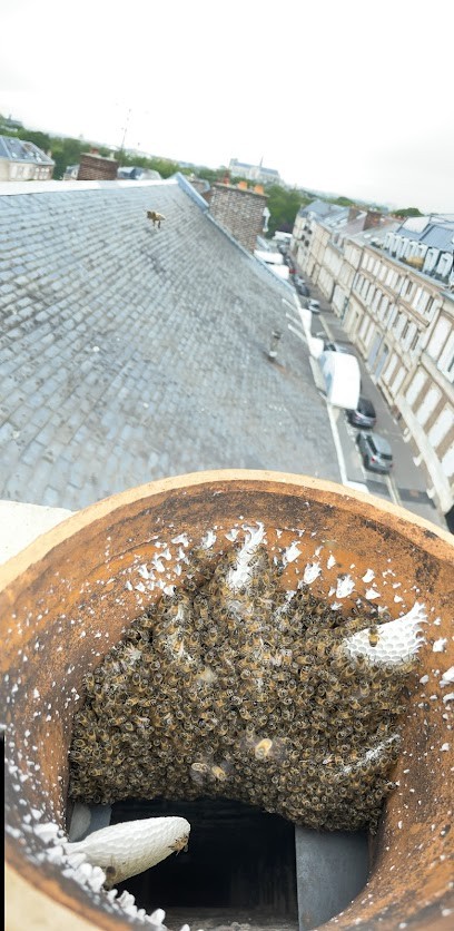 Delarue Matte Gauthier Andre Bernard, Désinsectiseur et Dératiseur à Guignemicourt