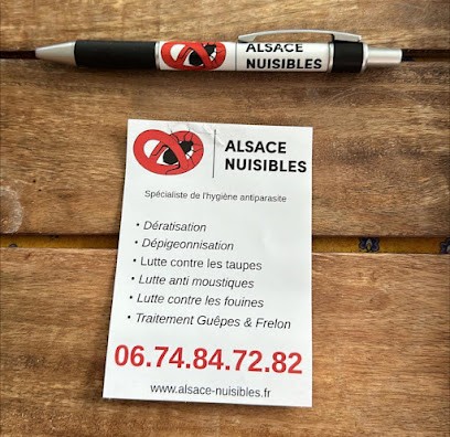 Alsace Nuisibles GUÊPES-PUNAISE-DE-LIT-STRASBOURG, Désinsectiseur et Dératiseur à Eckbolsheim
