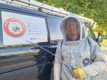 Doubs Guêpes Frelons, Désinsectiseur et Dératiseur à Saône