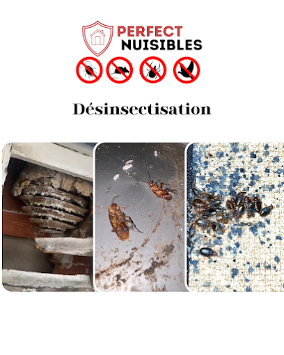Perfect Nuisibles 13 Désinsectiseur - Dératiseur à Marseille 10