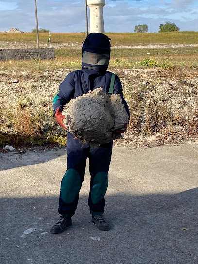 C . A . T 3D Consultation Application Traçabilité 3D, Désinsectiseur et Dératiseur à Cernay-lès-Reims