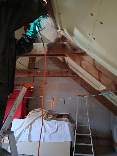 Mbh Traitement Mérule, Bois Et Humidité Désinsectiseur - Dératiseur à Quimper