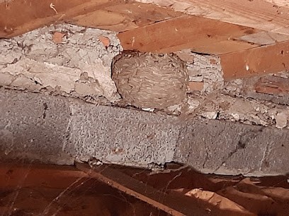 GUÊPE SET, Désinsectiseur et Dératiseur à Saint-Maurice-en-Gourgois