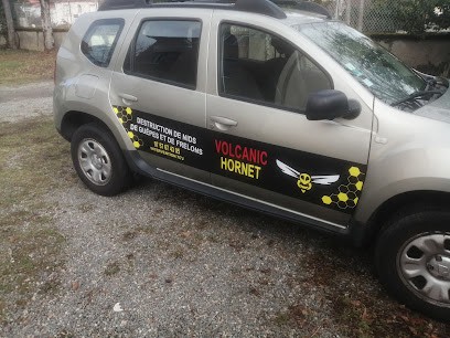Volcanic Hornet, Destruction Nids De Guêpes Et Frelons, Désinsectiseur et Dératiseur à Saint-Ours