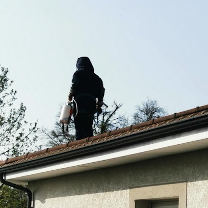 Gard Ô Guêpes Destruction Guêpes Et Frelons, Désinsectiseur et Dératiseur à Rochefort-du-Gard