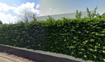 AVIpur Centre Est, Désinsectiseur et Dératiseur à Varennes-Vauzelles