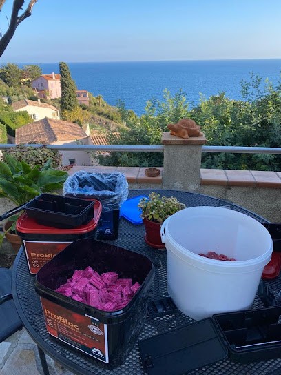 Acces Services - Dératisation Désinfection Désinsectisation, Désinsectiseur et Dératiseur à Cannes