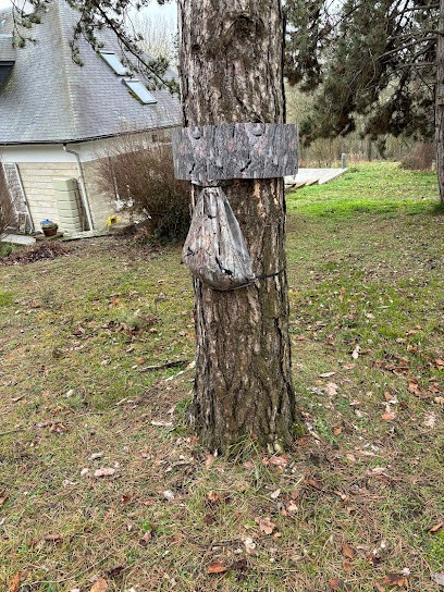 Stop Nuisibles 78, Désinsectiseur et Dératiseur à Rosny-sur-Seine