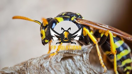 FP Solutions Nuisibles, Désinsectiseur et Dératiseur à Croissy-Beaubourg