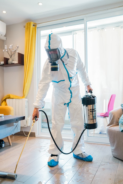 Insecticlean Désinsectiseur - Dératiseur à Marseille 08