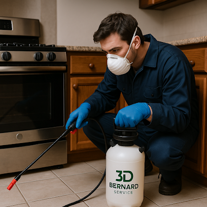 3D Bernard Service Désinsectiseur - Dératiseur à Vincennes
