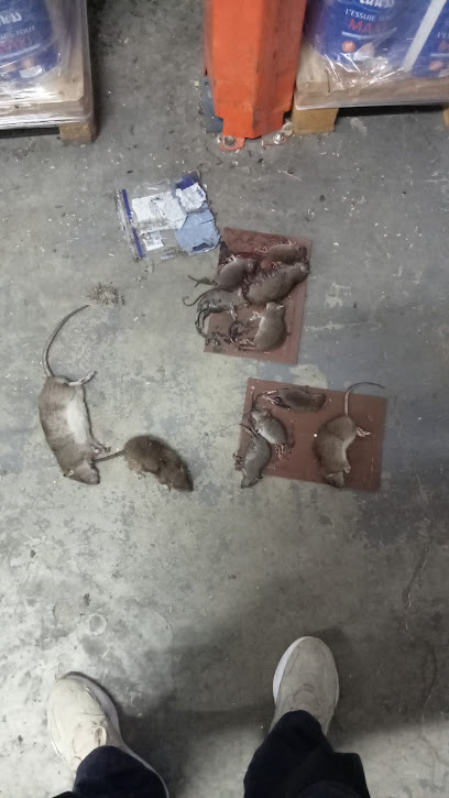 Team Pest France Désinsectiseur - Dératiseur à Aulnay-sous-Bois