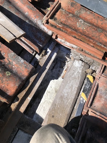 Urgence Guêpes Frelons Destruction Ain Isère Meximieux Ambérieu Lagnieu Saint Vulbas Loyette Pont De Cheruy Tignieu, Désinsectiseur et Dératiseur à Saint-Éloi