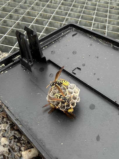 Pest Wars 4D Désinsectiseur - Dératiseur à Draguignan