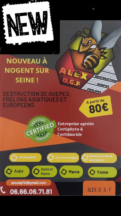 Destruction Nids De Guêpes Frelons - Alex Dgf, Désinsectiseur - Dératiseur à la Motte-Tilly