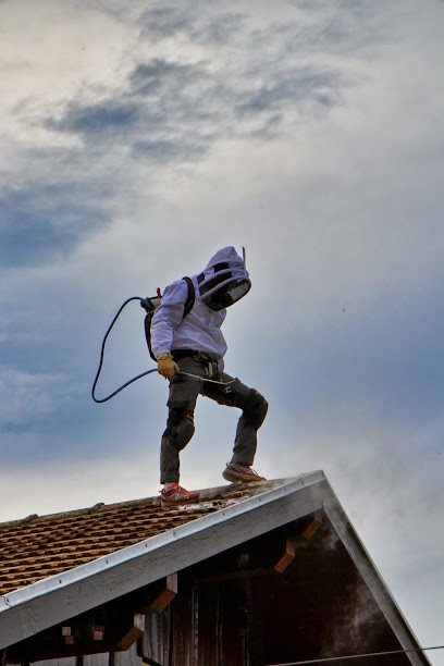Stop Guêpes 74, Désinsectiseur et Dératiseur à Sevrier