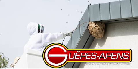 Guêpes-Apens 81 - Radikal Nuisibles, Désinsectiseur - Dératiseur à Fénols