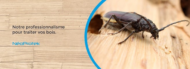 Neoprotek, Désinsectiseur et Dératiseur à Saint-Pandelon