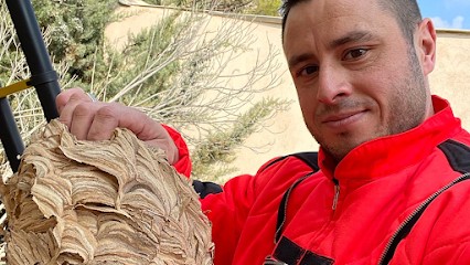 Guêpes Frelons Destruction 83, Désinsectiseur et Dératiseur à Puget-Ville