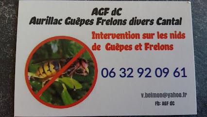 Aurillac Guêpes Frelons divers Cantal - AGFdC, Désinsectiseur et Dératiseur à Naucelles