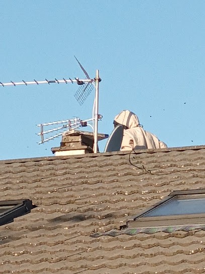 3D Pure, Désinsectiseur et Dératiseur à Saint-Genis-Pouilly