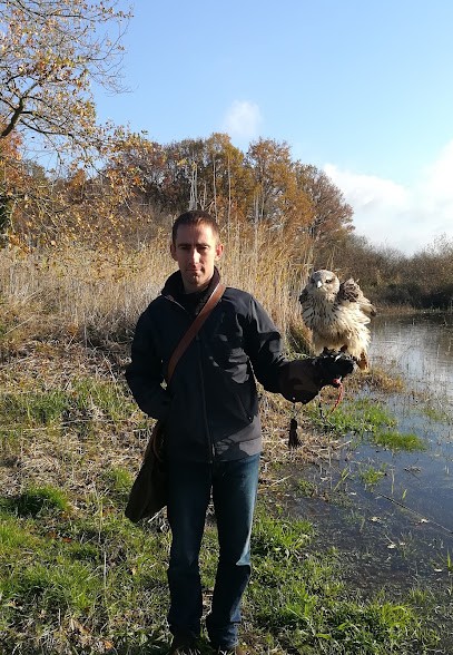 Stop nuisible Des ailes en brenne, Désinsectiseur et Dératiseur à Pouligny-Saint-Pierre