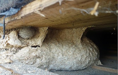 DERATIS, Désinsectiseur et Dératiseur à Rousson