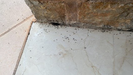 7/7 PEST CONTROL SERVICES, Désinsectiseur et Dératiseur à Cannes