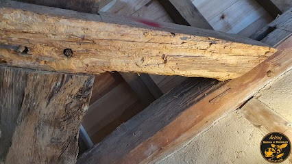 Action Guêpes Et Nuisibles, Désinsectiseur et Dératiseur à Chevry-en-Sereine