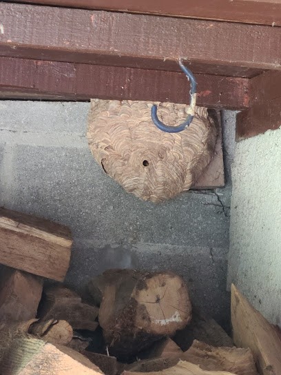 Guêpes 95, Désinsectiseur et Dératiseur à Magny-en-Vexin