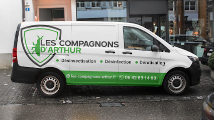 Les Compagnons D'arthur Désinsectiseur - Dératiseur à Argenteuil