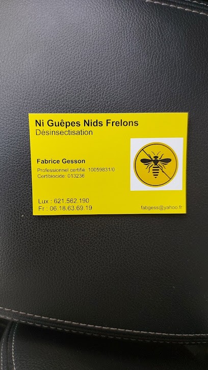 Ni Guêpes Nids Frelons, Désinsectiseur et Dératiseur à Rodemack