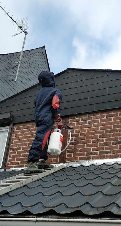 Stop guêpes frelons 76, Désinsectiseur et Dératiseur à Boudeville