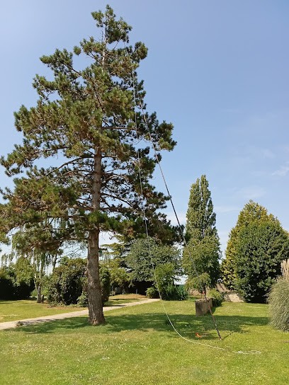 BLR PRÉVENTION NUISIBLES, Désinsectiseur et Dératiseur à Bois-le-Roi